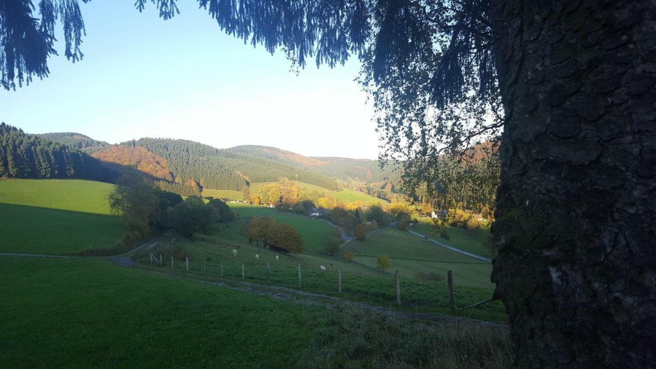 Pension Bergfrieden Schmallenberg Exteriör bild
