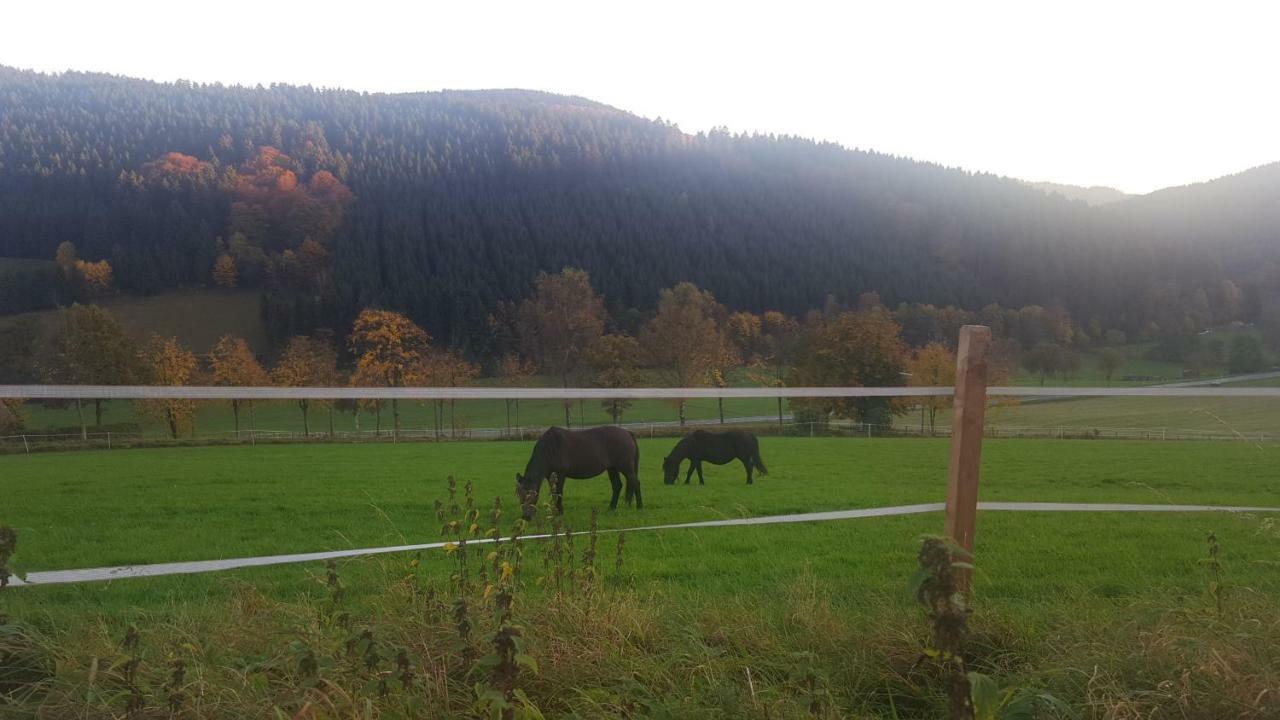 Pension Bergfrieden Schmallenberg Exteriör bild