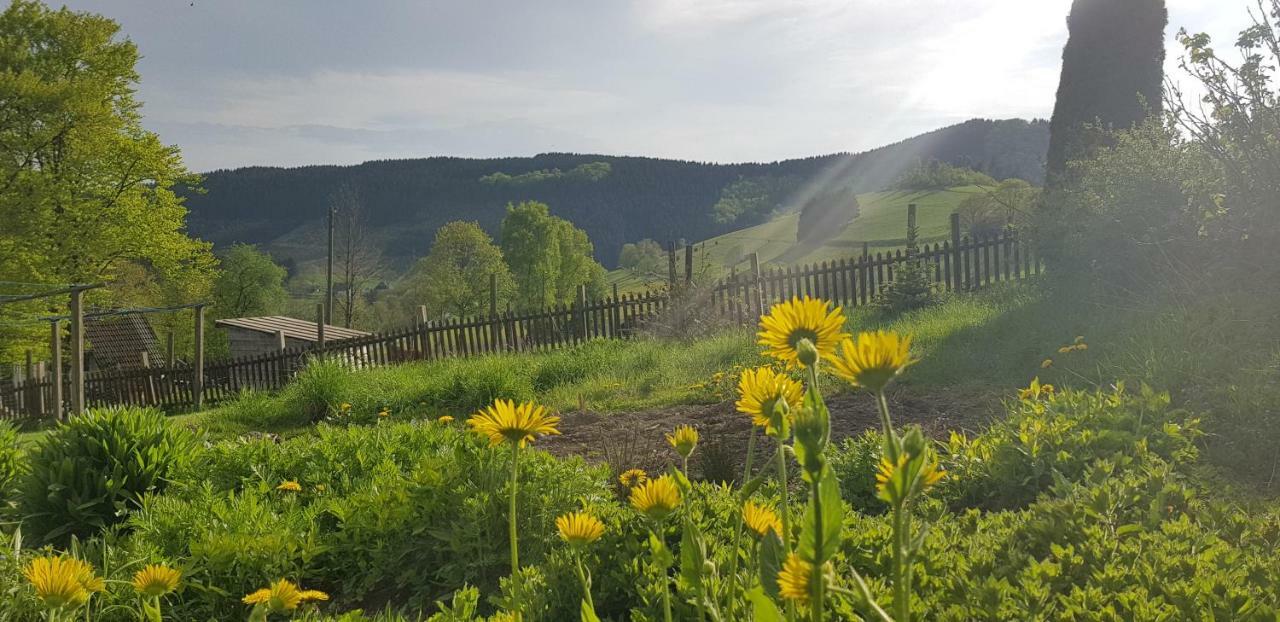 Pension Bergfrieden Schmallenberg Exteriör bild